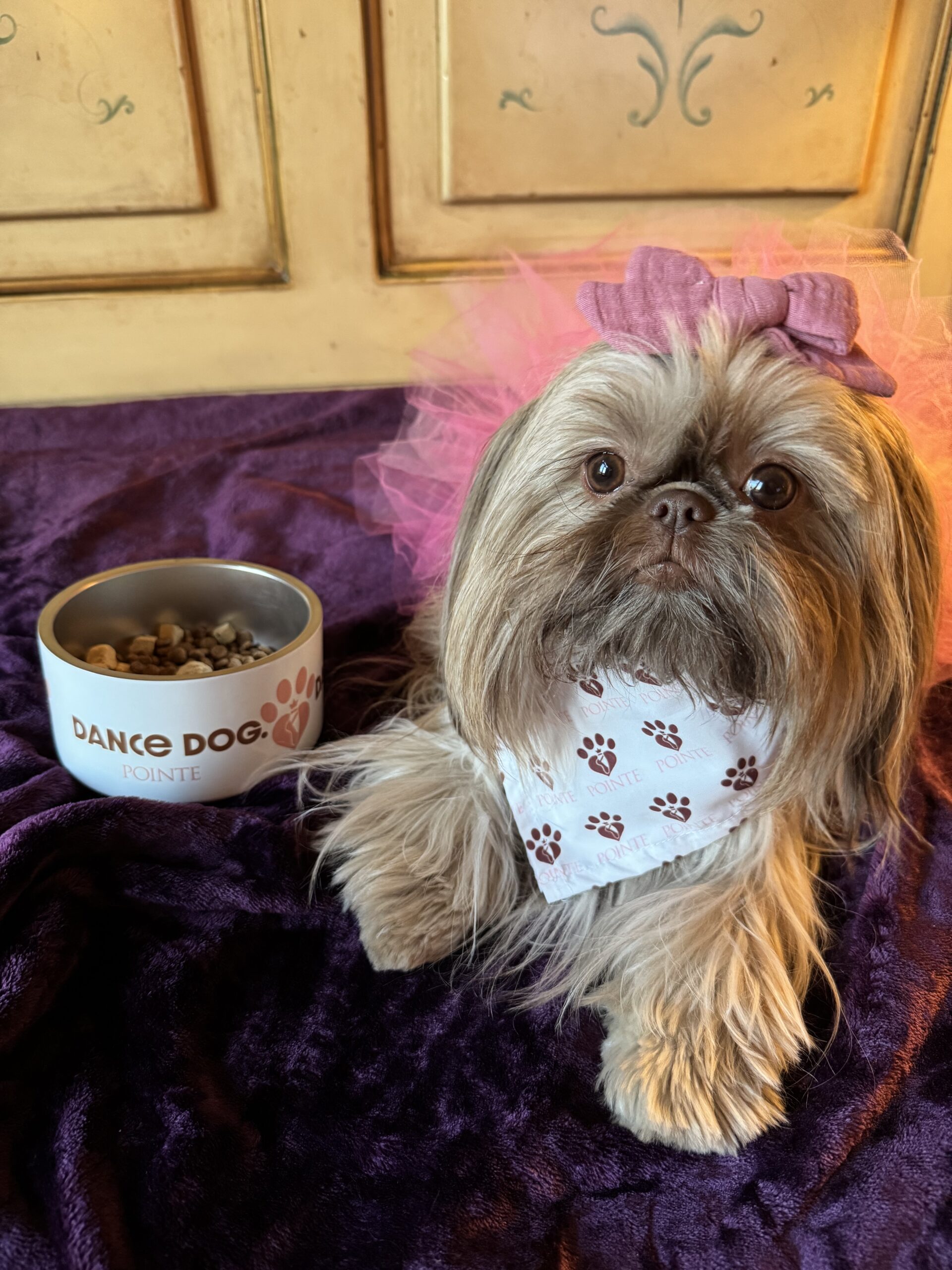 Dance Dog Bowl - Image 2