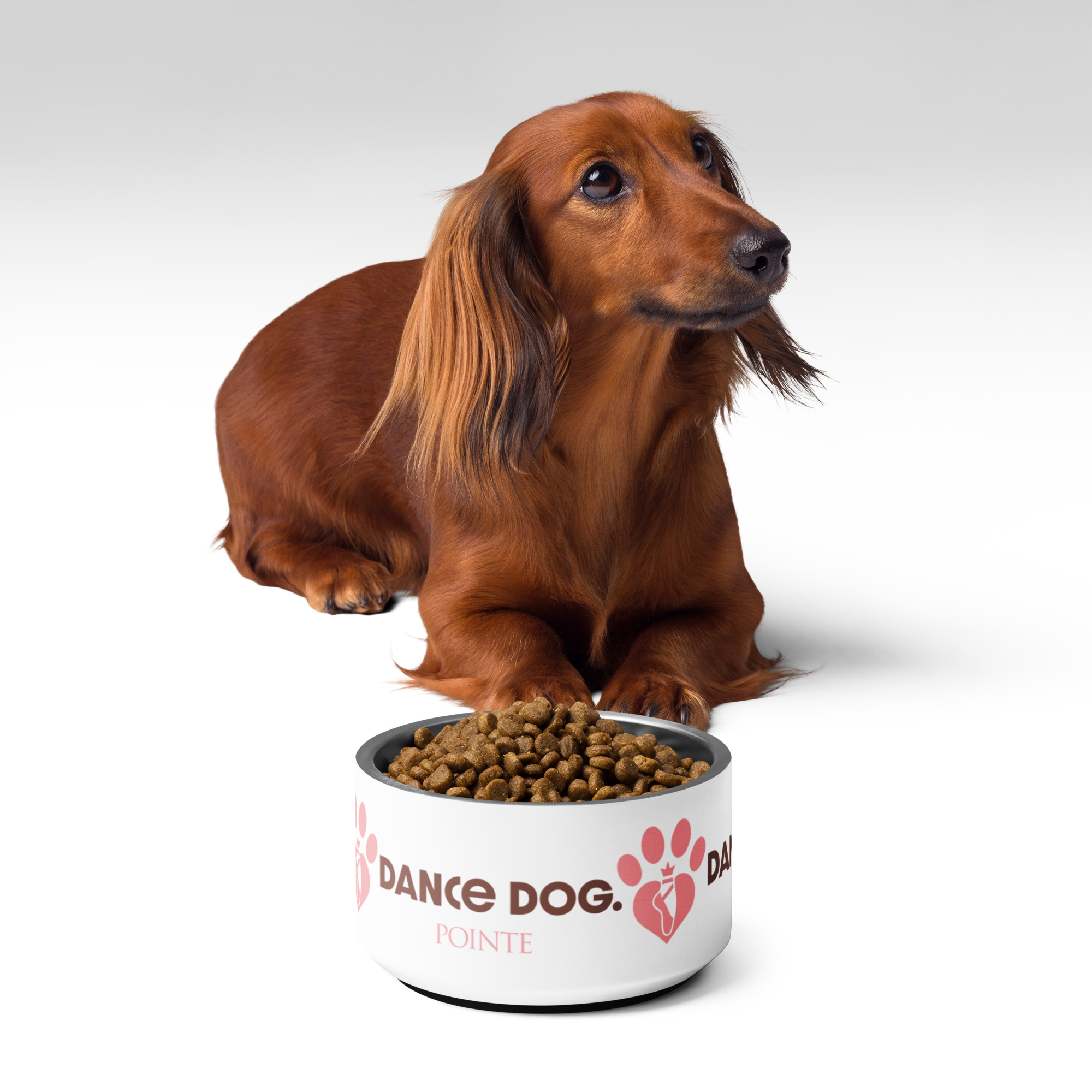 Dance Dog Bowl